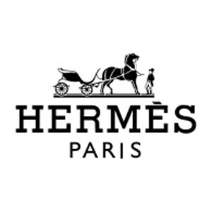 Hermes LOGO