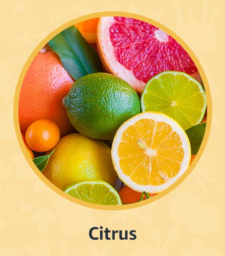 Citrus